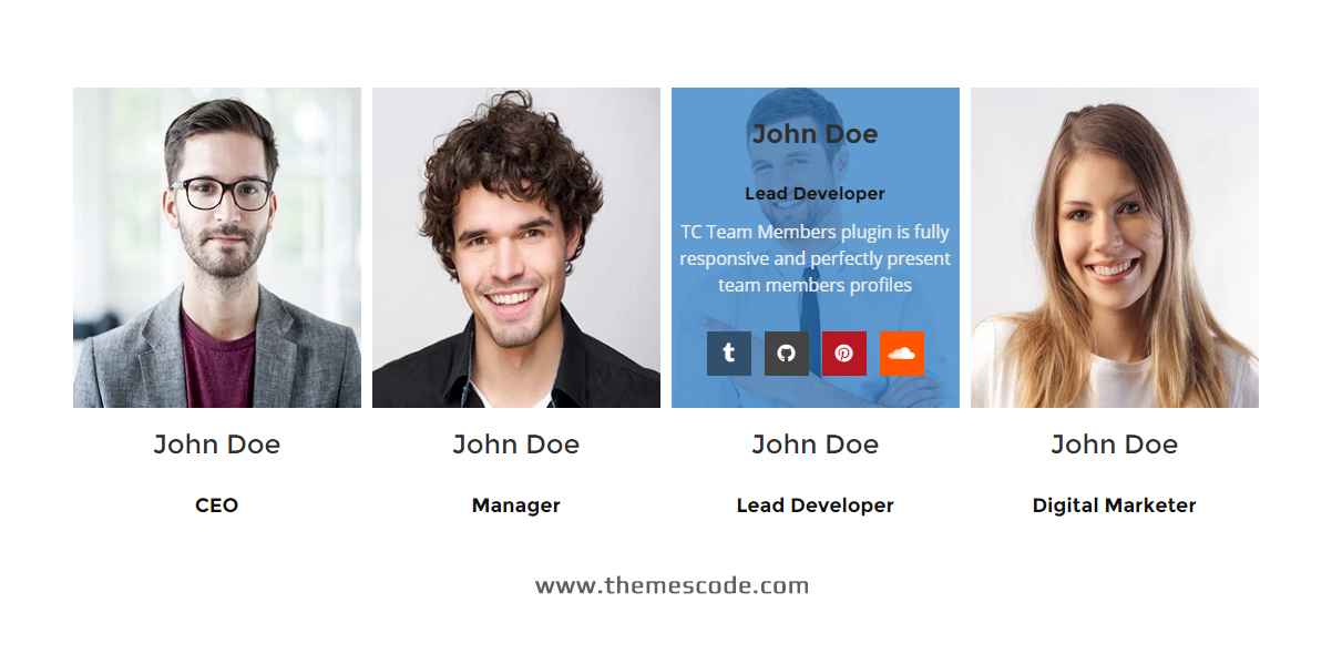 wordpress team plugin